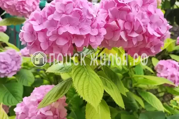 Частный сектор, Пр-кт Владислава Ардзинба, д.134