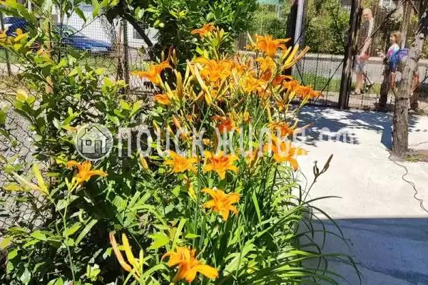 Частный сектор, Пр-кт Владислава Ардзинба, д.134