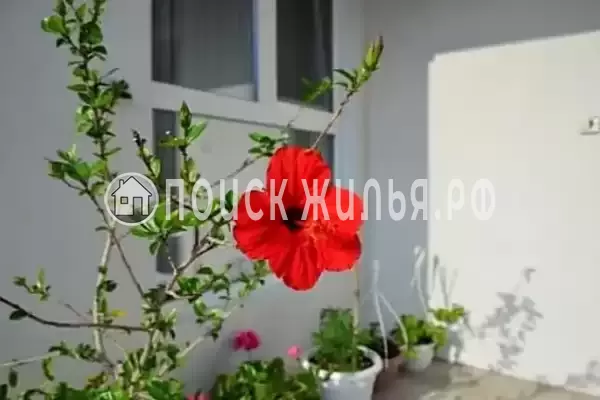 Дом под ключ «Жемчужина Асана» Дом под ключ «Жемчужина Асана»