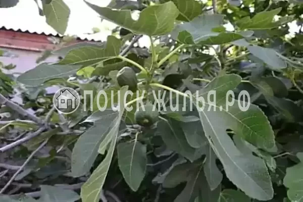 Дом под ключ «Жемчужина Асана» Дом под ключ «Жемчужина Асана»