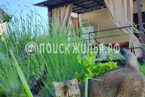 Частный сектор «Дом у моря в окружении гор» Частный сектор «Дом у моря в окружении гор»