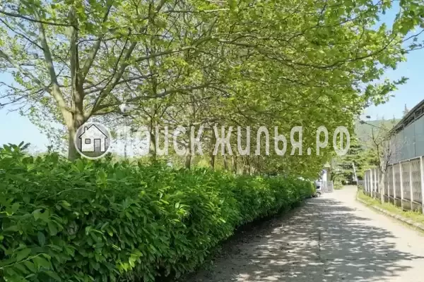 Апартаменты «Агой»