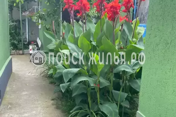 Частный сектор «Дом Дача»