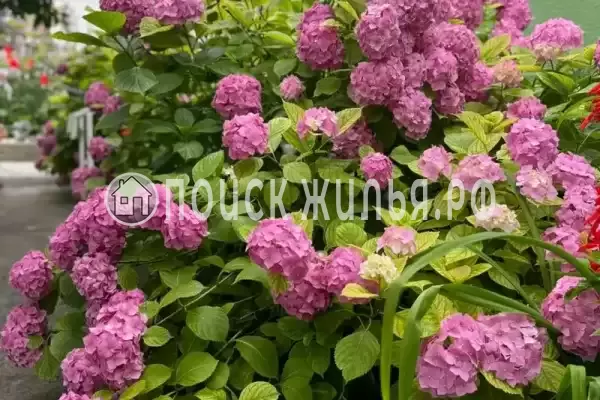 Частный сектор «Дом Дача»