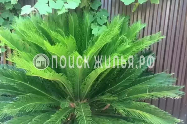 Частный сектор «Двухэтажный дом» Частный сектор «Двухэтажный дом»