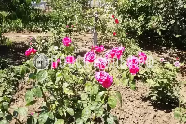 Дом под ключ, Кубанская, д.16 Дом под ключ, Кубанская, д.16