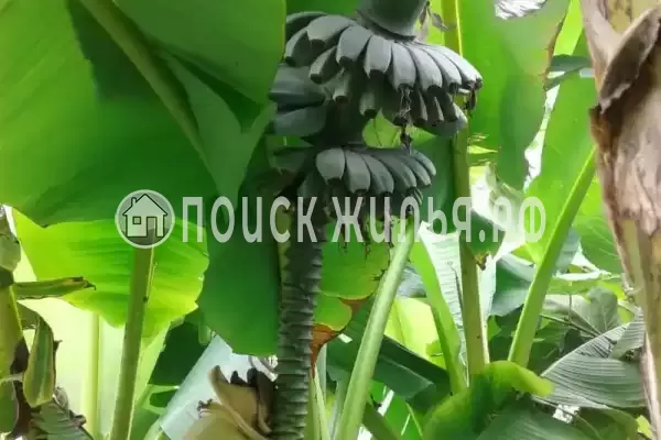 Дом под ключ «Вишня»