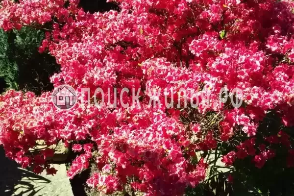 Дом под ключ «Вишня»