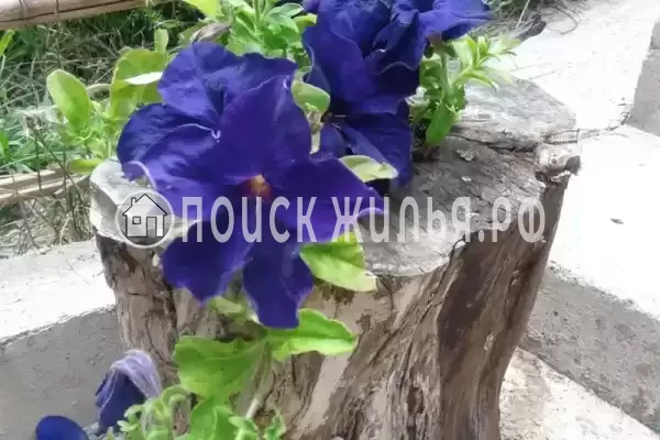 Дом под ключ «Вишня»