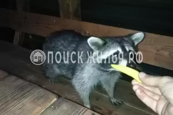 Дом под ключ «Вишня»