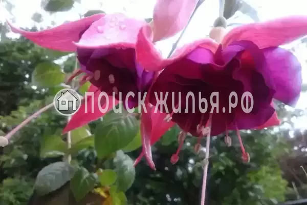 Дом под ключ «Вишня»