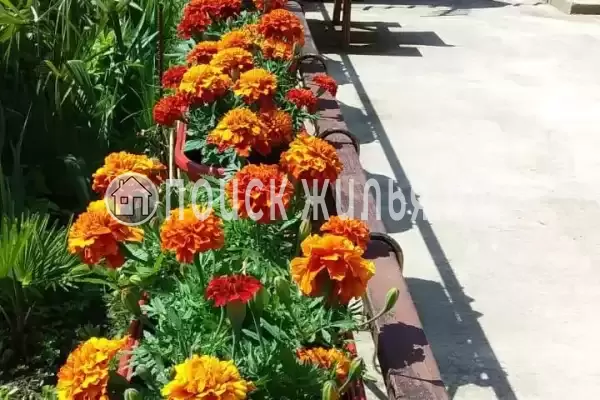 Дом под ключ «Вишня»