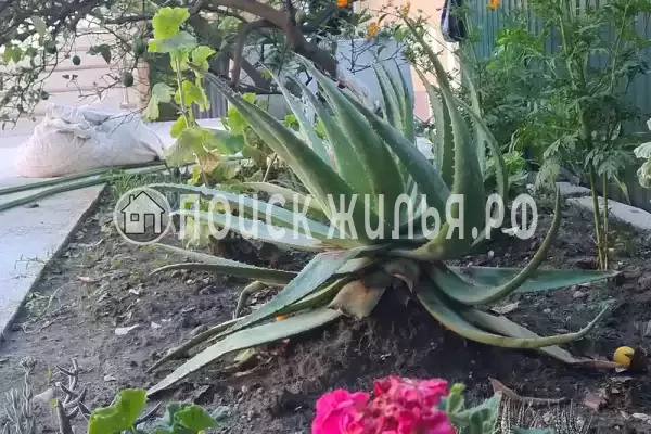 Дом под ключ, Морская, д.18 Дом под ключ, Морская, д.18