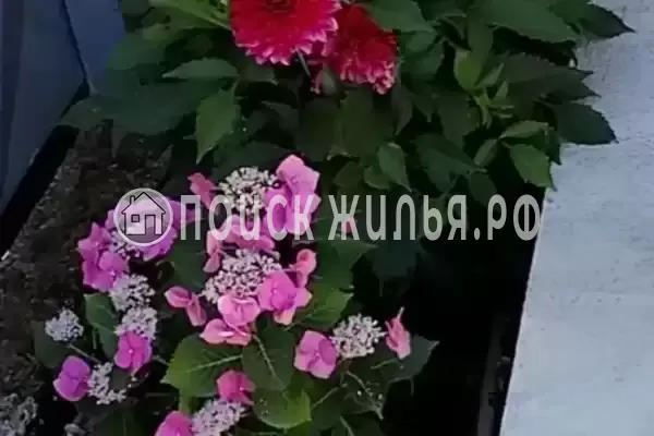 Дом под ключ «Этаж под ключ у моря» Дом под ключ «Этаж под ключ у моря»