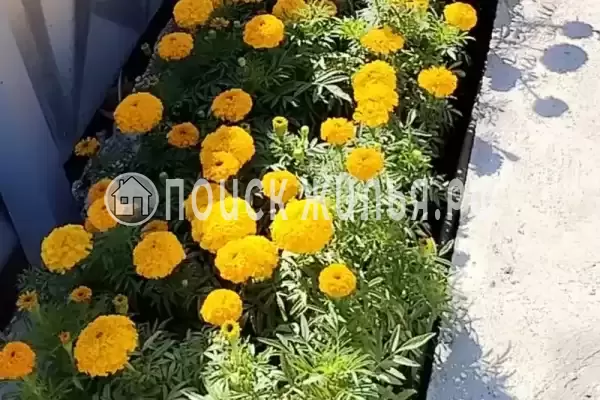 Дом под ключ «Этаж под ключ у моря» Дом под ключ «Этаж под ключ у моря»