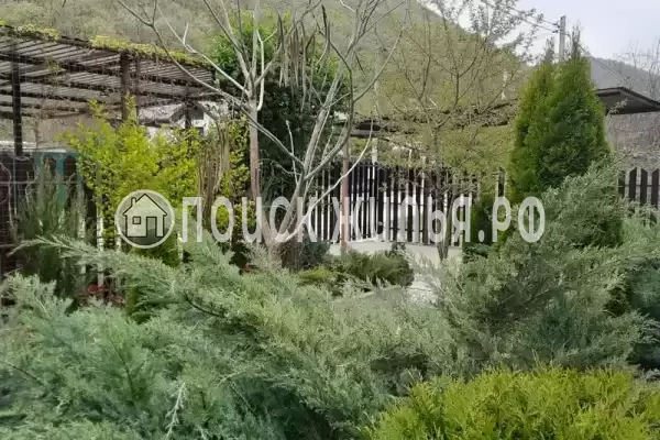 Частный сектор «Абрау-Дюрсо» Частный сектор «Абрау-Дюрсо»