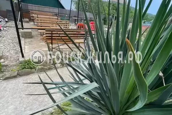 Частный сектор «Персик» Частный сектор «Персик»