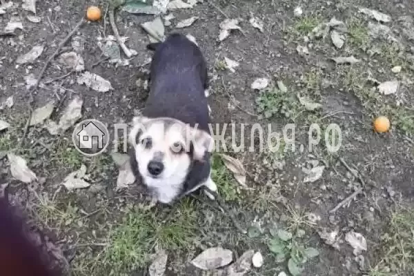 Дом под ключ «Рядом с морем»