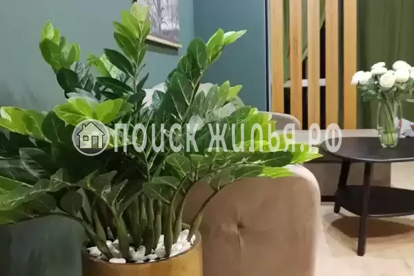 Частный сектор «Таунхаус в Головинке»