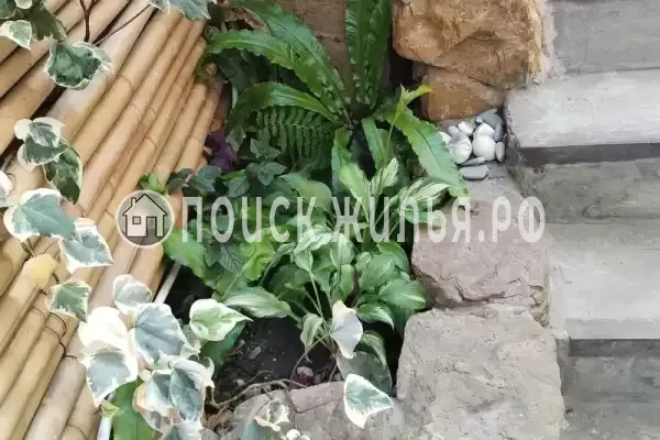 Частный сектор «Трёхкомнатная уютная кв-ра, район Зимнего театра»