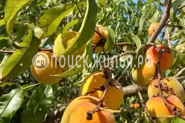 Частный сектор «Этаж под ключ в доме» Частный сектор «Этаж под ключ в доме»