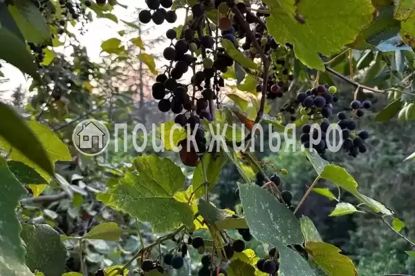 Частный сектор «Этаж под ключ в доме» Частный сектор «Этаж под ключ в доме»