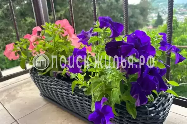 Частный сектор «Этаж под ключ в доме» Частный сектор «Этаж под ключ в доме»