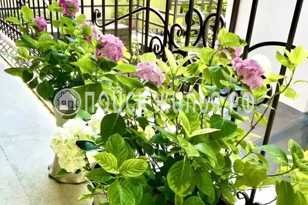 Частный сектор «Южный»