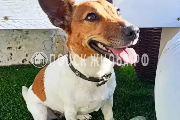 Дом под ключ «Коттедж Семирамида»