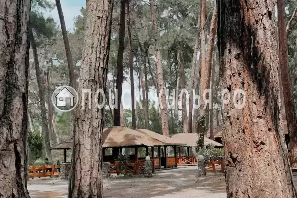 Частный сектор «Домик A-frame» Частный сектор «Домик A-frame»