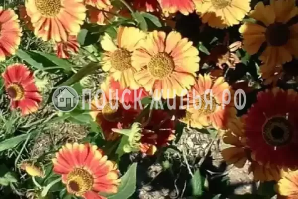 Дом под ключ «Этаж под ключ Степная 8» Дом под ключ «Этаж под ключ Степная 8»