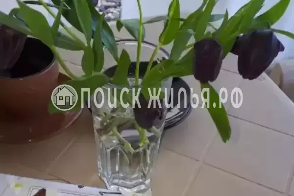 Частный сектор «Домик У Лизы» Частный сектор «Домик У Лизы»