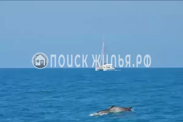 Дом под ключ «с бассейном» Дом под ключ «с бассейном»