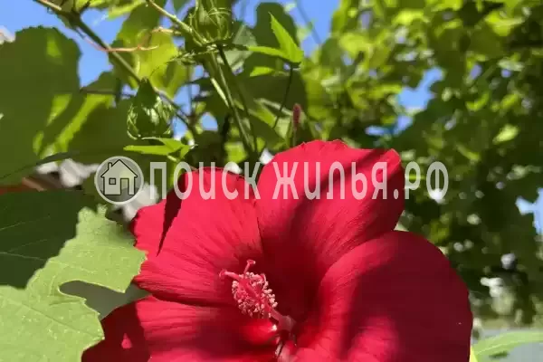 Частный сектор «Уютный домик у моря»