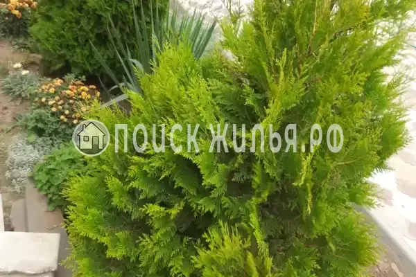 Частный сектор «Номер с отдельным входом»