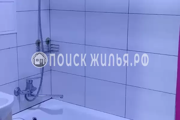 Квартира «Альбатрос»