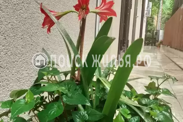 Апартаменты «У моря»