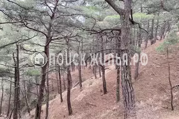 Частный сектор «Лесной»