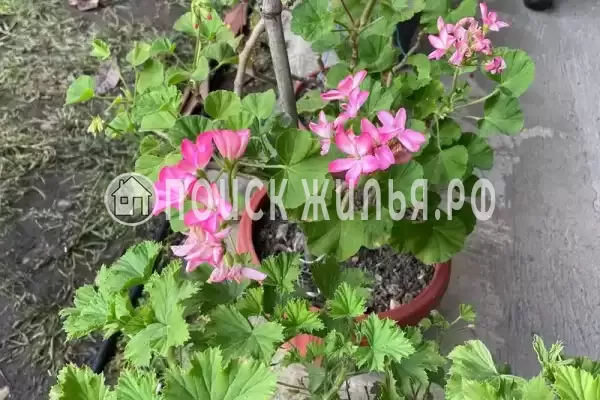 Дом под ключ «Марианна» Дом под ключ «Марианна»