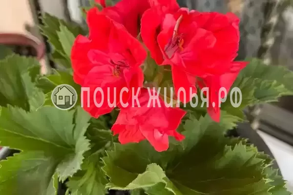 Дом под ключ «Марианна» Дом под ключ «Марианна»