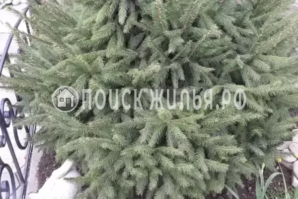 Частный сектор «На Ясенской 83»