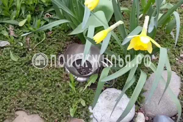 Частный сектор «На Ясенской 83»