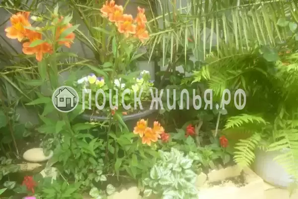 Частный сектор «Трехкомнатный коттедж» Частный сектор «Трехкомнатный коттедж»