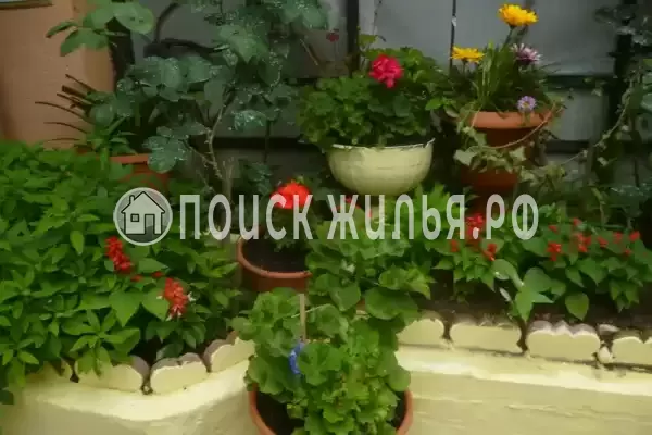 Частный сектор «Трехкомнатный коттедж» Частный сектор «Трехкомнатный коттедж»