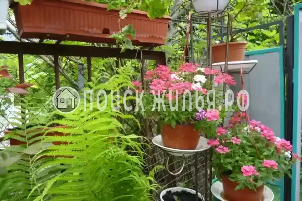 Частный сектор «Трехкомнатный коттедж» Частный сектор «Трехкомнатный коттедж»