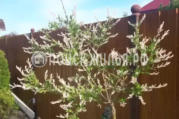 Дом под ключ, Светлый переулок, д.8А