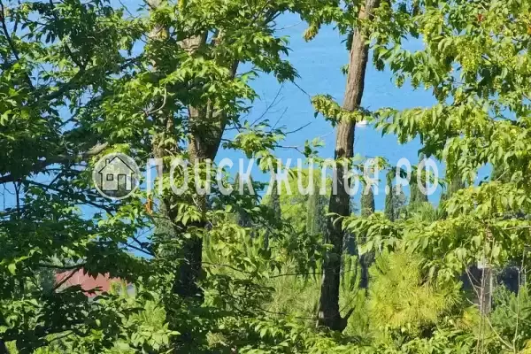 Частный сектор «Дом на Сочинском шоссе»