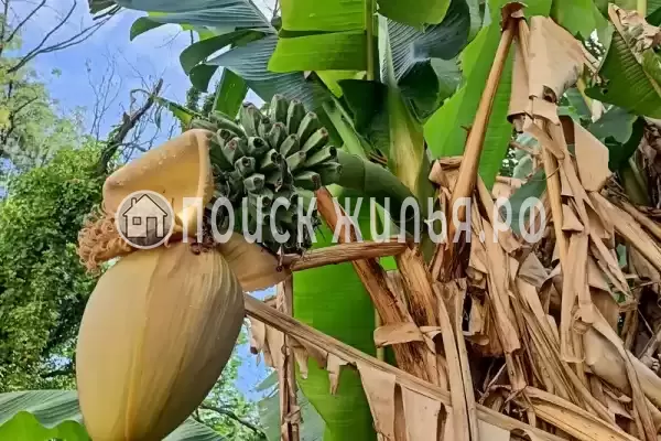 Частный сектор «Дом на Сочинском шоссе»