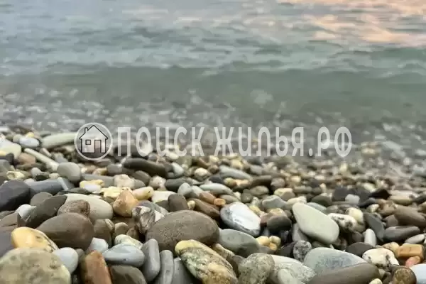 Апартаменты «Люкс»