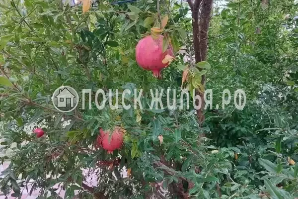 Дом под ключ «На Приморской»